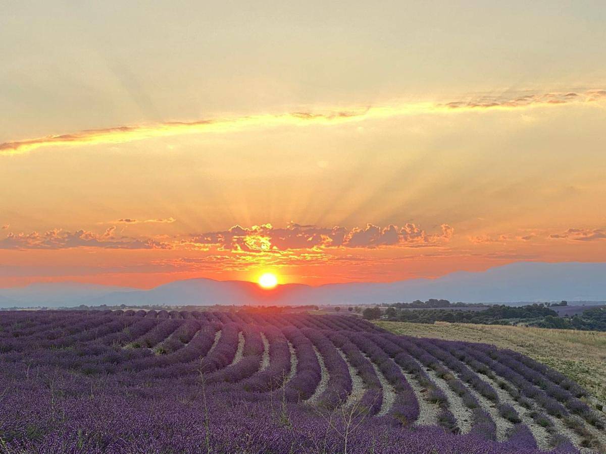 Tent in Valensole, Parc naturel régional du Verdon