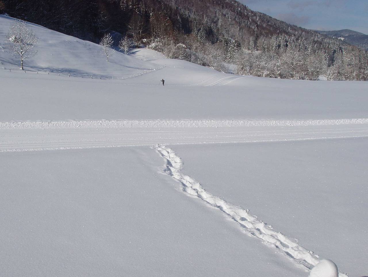 Ganze Ferienwohnung, Ferienwohnungen Familie Brunner, Kreuth-Reitrain - Ferienwohnung in Kreuth, Bayerische Alpen