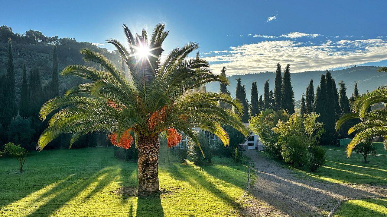 Ferienhaus für 4 Personen (45 m²) in Olvera in Olvera, Pueblos Blancos