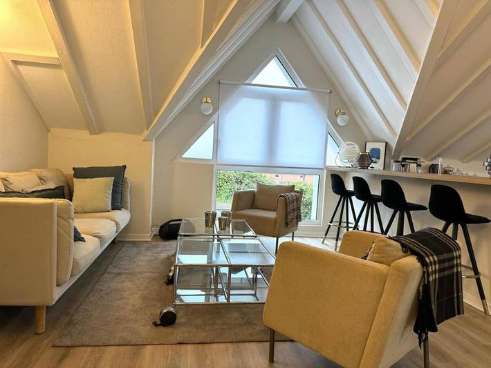 Gîte pour 4 personnes, animaux acceptés à Horbourg-Wihr - 3