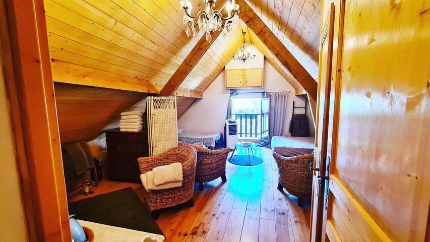 Location de vacances pour 10 personnes, avec jacuzzi et terrasse, animaux acceptés à Chanaz - 4