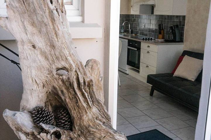 Gîte pour 4 personnes, avec balcon, animaux acceptés dans Plage sud (Mimizan Plage)