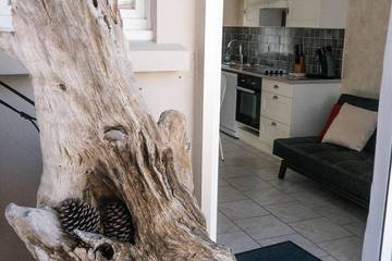 Gîte pour 4 personnes, avec balcon, animaux acceptés dans Plage sud (Mimizan Plage)