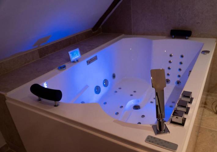 Location de vacances pour 3 personnes, avec sauna et jacuzzi, animaux acceptés à Saint-Cyr-sur-Loire