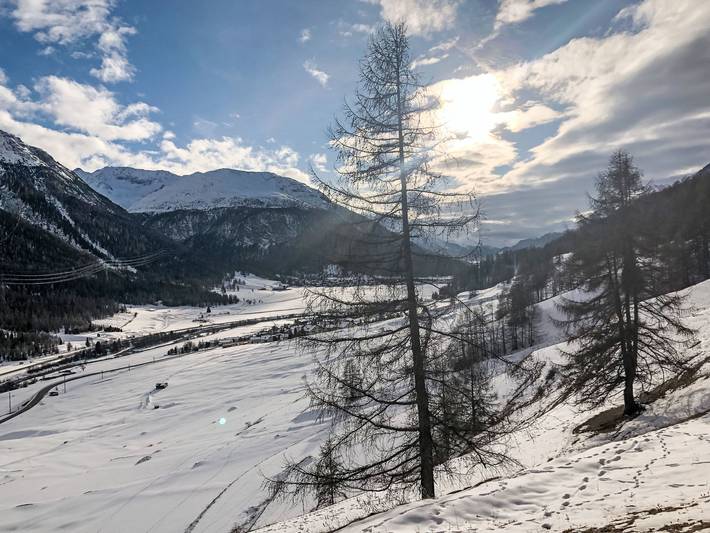 Ganze Wohnung, Chesa Brünella, Wohnung Belvair in Zuoz, Sankt Moritz