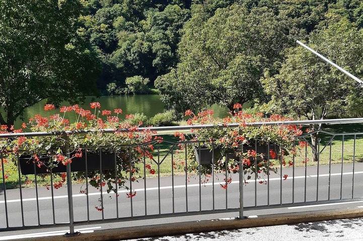 Appartement entier, Haus Moselliebe - 2P. mit Balkon und Moselblick in Ediger-Eller, Cochem-Zell