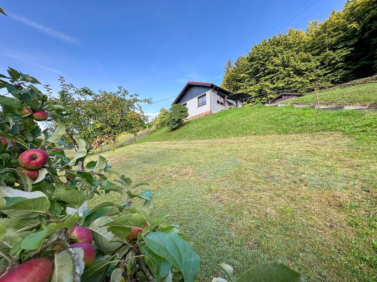 Ferienhaus am Hang im Thüringer Wald in Schleusegrund, Hildburghausen und Umgebung