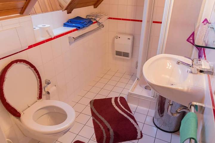 Ganze Wohnung, Dachgeschoss Apart. ca.35 qm mit Terrasse im Einfamilienhaus in Puchheim, Landkreis Fürstenfeldbruck