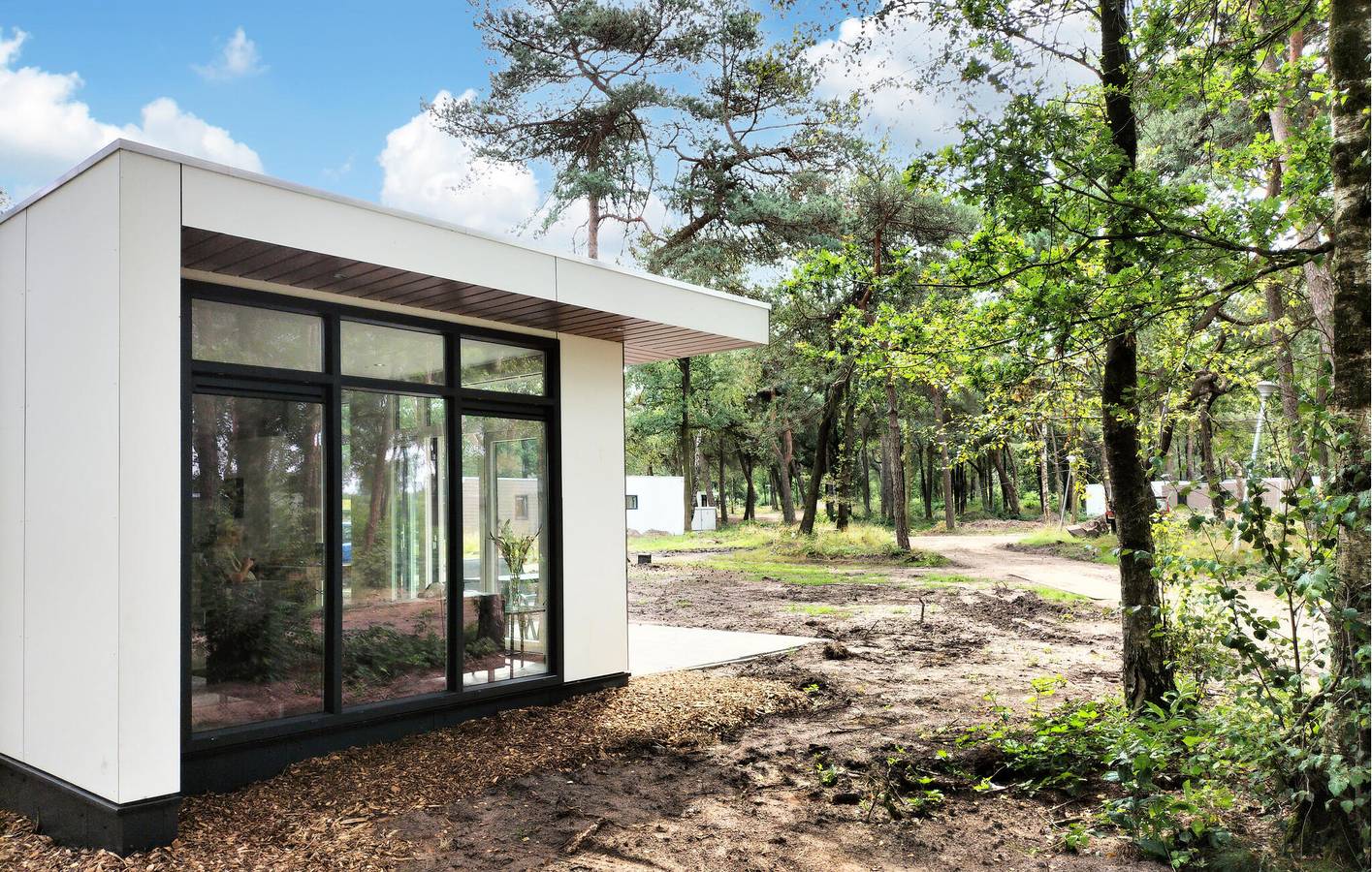 Vakantiehuis voor 4 personen met terras in Sallandse Heuvelrug