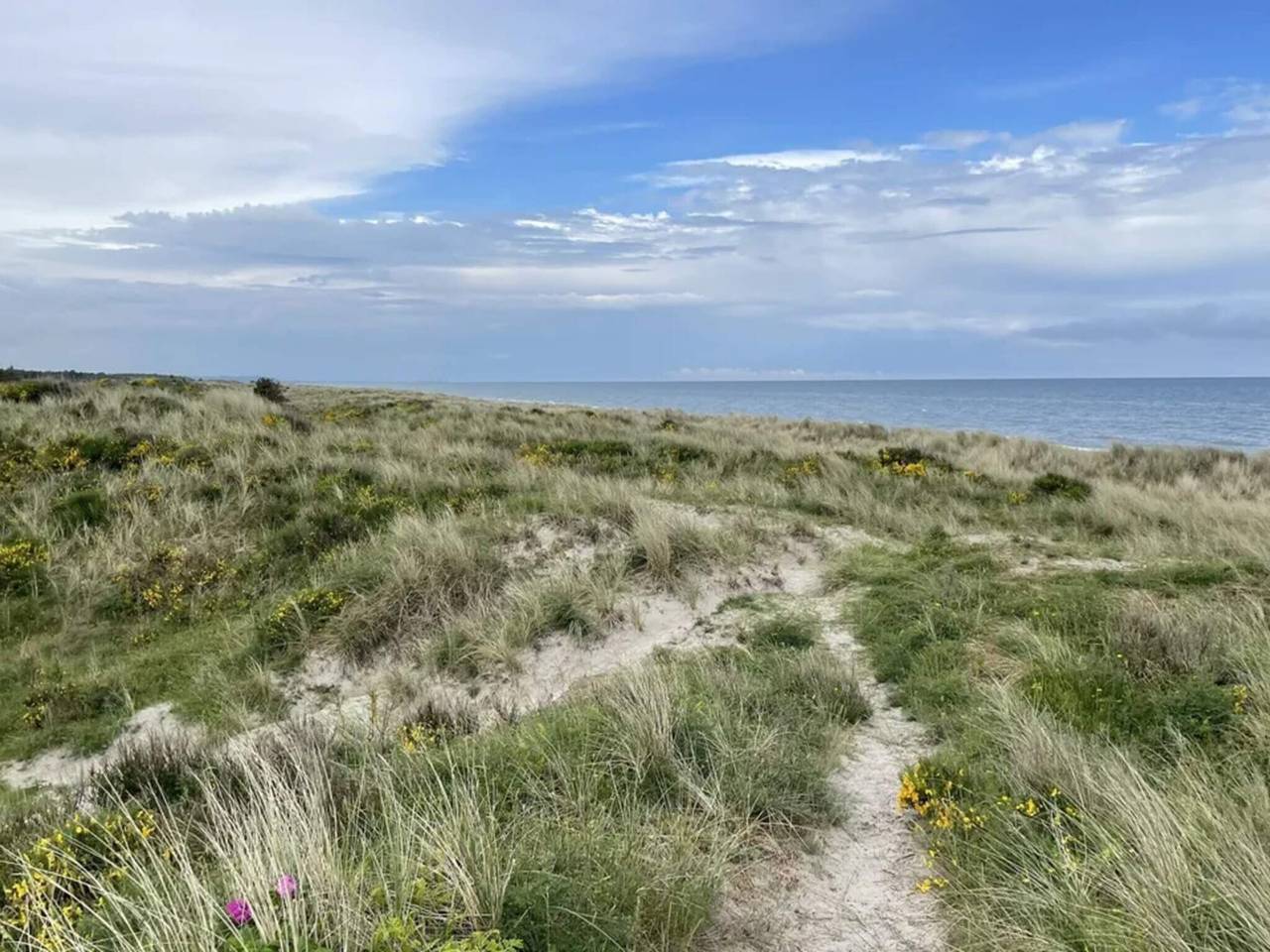 8 persoons vakantie huis in Hadsund in Als Odde, Hadsund