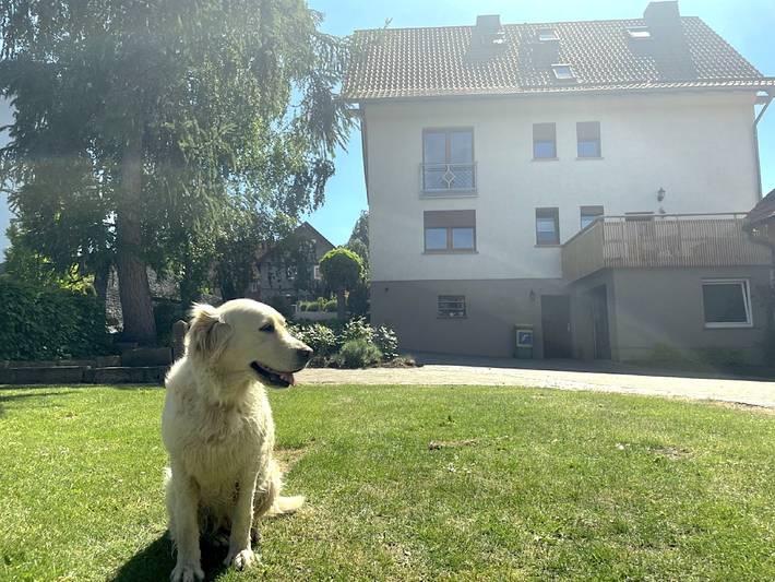 Ferienhaus für 6 Personen, mit Garten, kinderfreundlich in Thüringen - 2