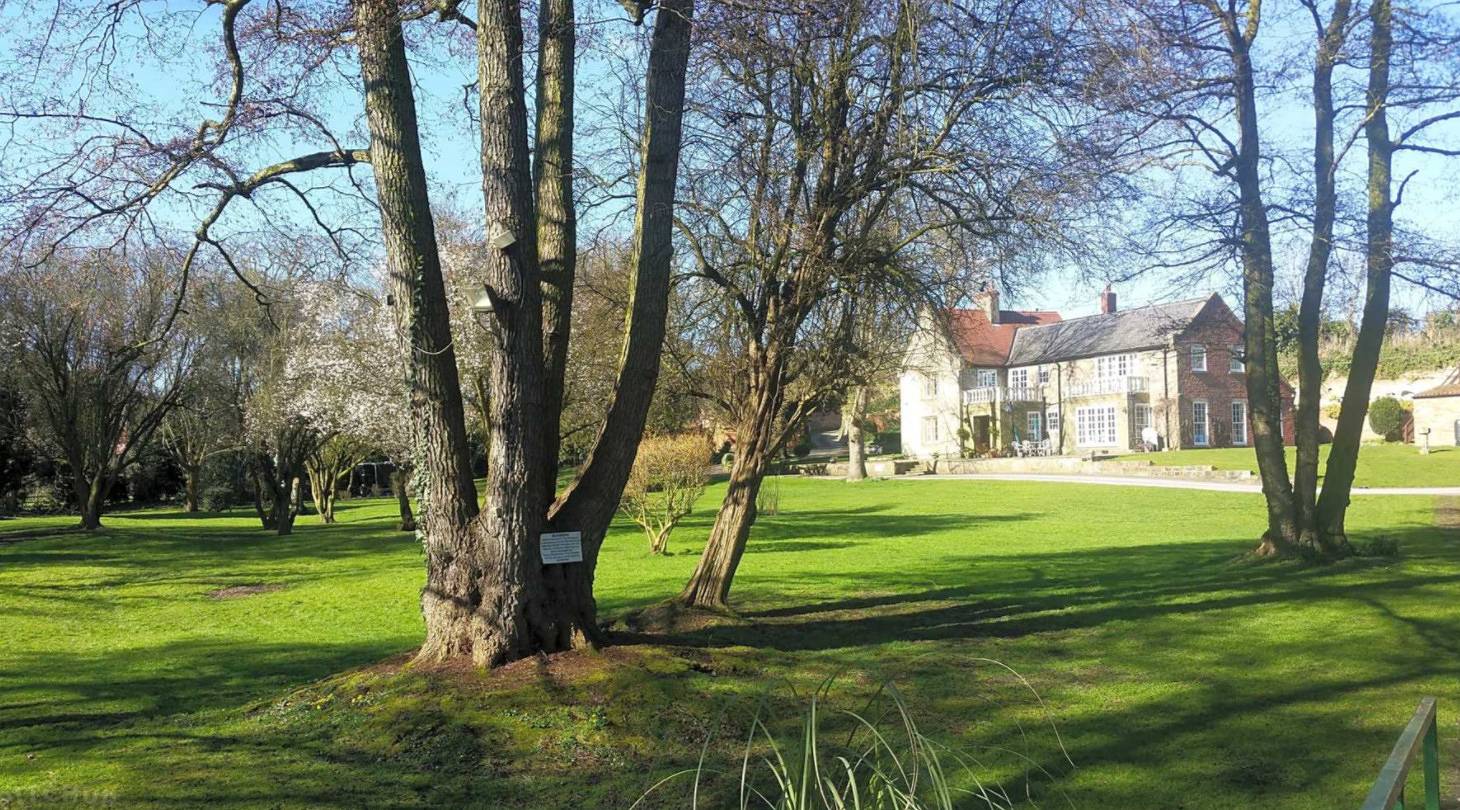 17th-Century1Bed/Studio/Petsok/Garden/Wifi in Sherwood Forest, Nottinghamshire