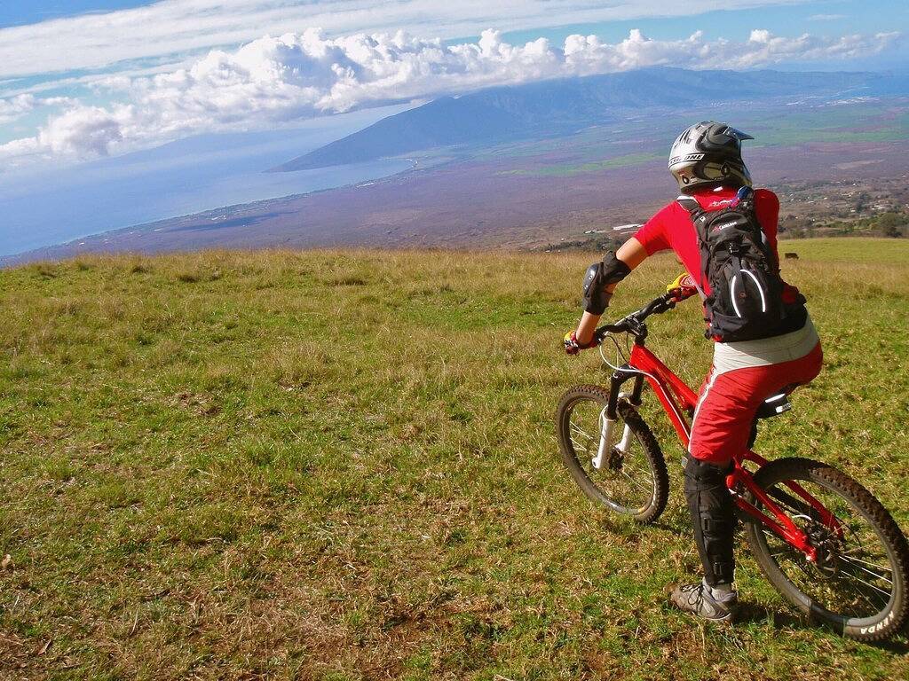 Pookela Paradise-Ocean and Mtn Views, Newly Renovated, Close to Makawao Town in Makawao, Upcountry Maui