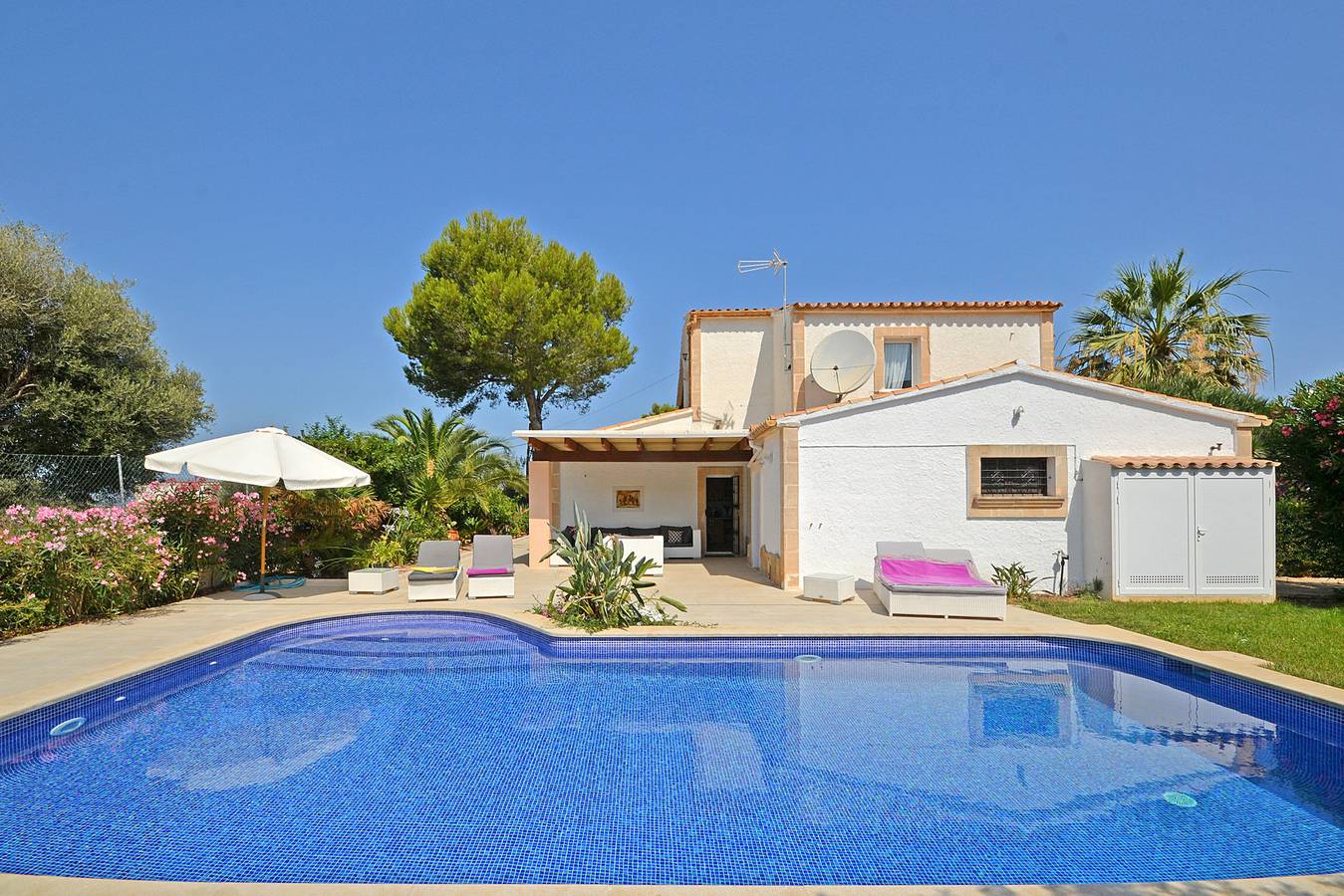 Odette in Bonaire, Alcúdia