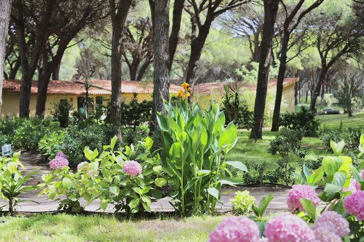 Gîte pour 4 personnes, avec jardin, animaux acceptés à Arborea - 3