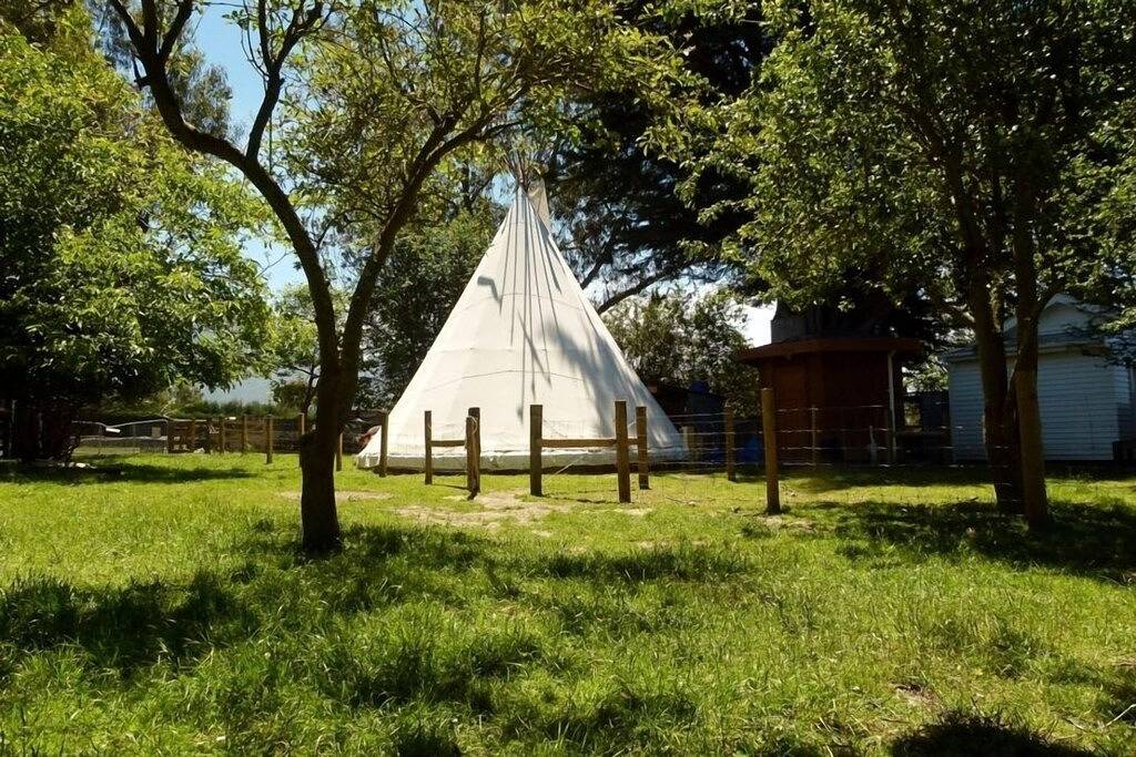 Tipi / Tipi - Wacky Stays = sechs Einzigartige Vermietungen in Canterbury (NZ)