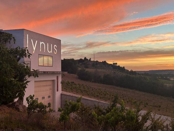 Hotel para 2 personas, con Terraza además de Jardín y Vistas en Campo de Peñafiel