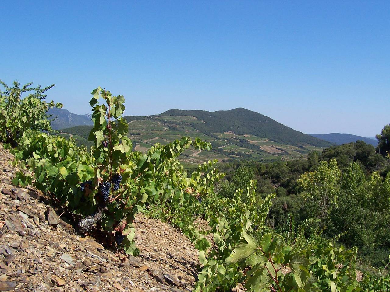 L'Orela in Berlou, Région de Béziers