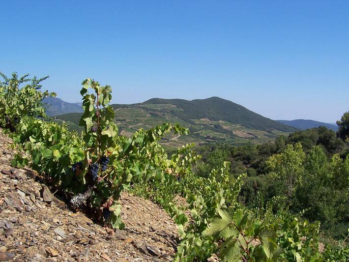 Gîte pour 4 personnes, avec jardin et piscine à Berlou - 2