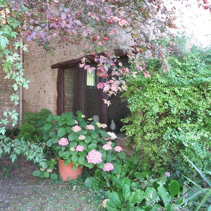 Chambre d’hôte pour 5 personnes, avec piscine et jardin à Vienne (France) - 4