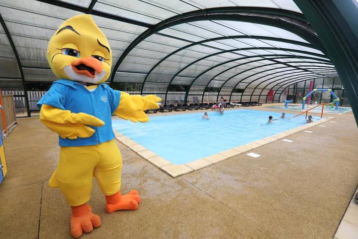 Location de vacances pour 6 personnes, avec sauna et piscine ainsi que terrasse et jacuzzi, animaux acceptés à Moyenneville - 2