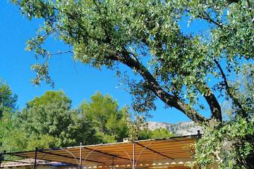 Gîte pour 4 personnes, avec terrasse et piscine ainsi que jardin et jacuzzi à Saint-Hippolyte-le-Graveyron