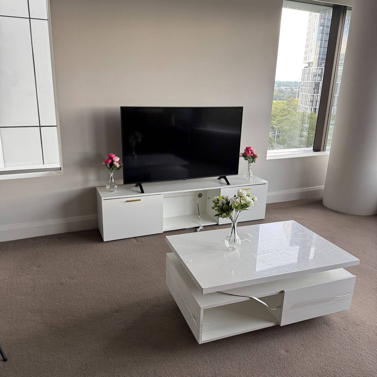 Entire apartment, Sydney Olympic Park in Sydney, New South Wales