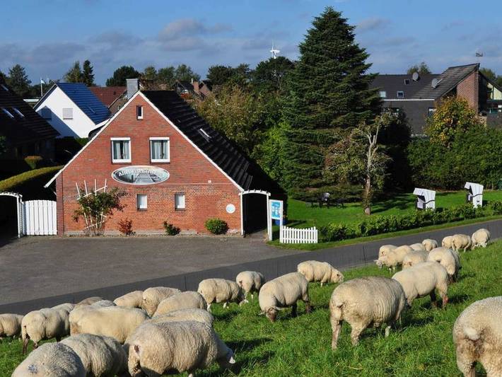 Ferienwohnung für 2 Personen, mit Garten, mit Haustier in Schillig