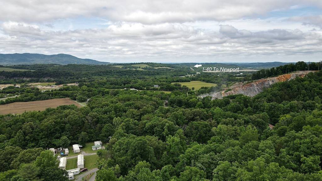 Moonshine Cabin with a nice yard on the creek in the shadows of the Smokies in Cocke County