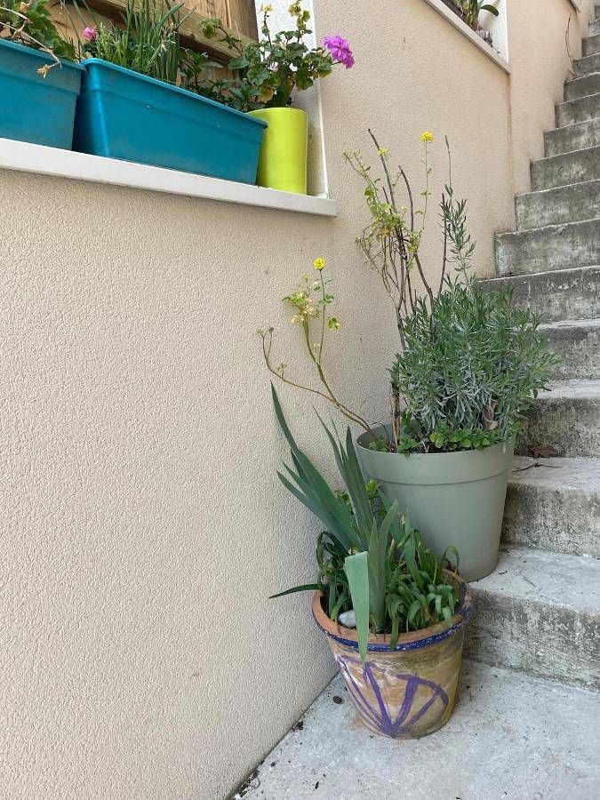 Gîte pour 2 personnes, animaux acceptés à Sainte-Adresse - 3