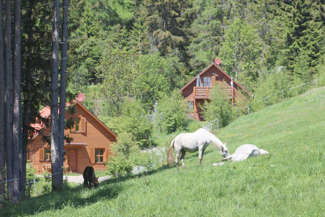 Chalet in Liebenfels, Mittelkärnten