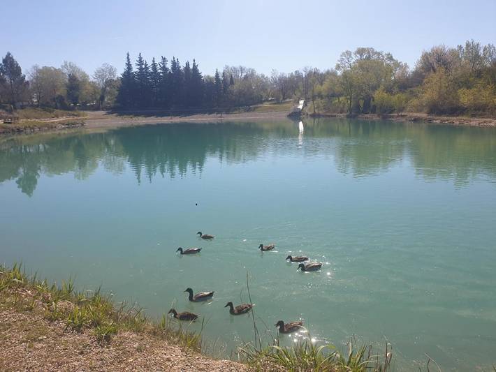 Camping pour 6 personnes, avec terrasse et jardin ainsi que vue et piscine à La Roque-d'Anthéron - 2