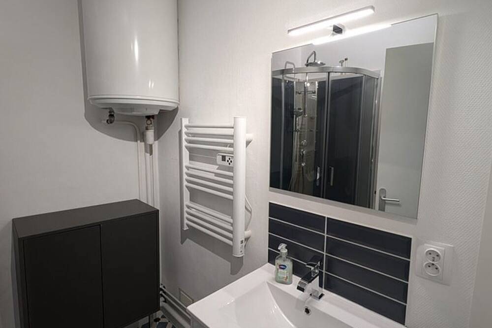 Entire apartment, Renovated studio with Wifi, pets allowed in Le Lioran, Laveissière