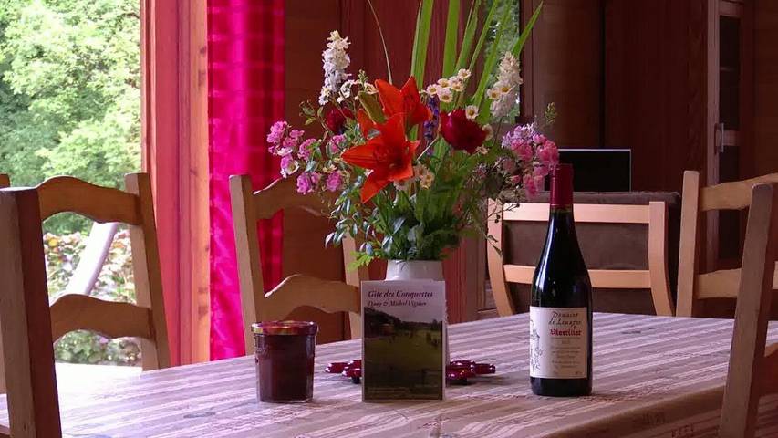 Location de vacances pour 9 personnes, avec jardin et vue à Salles-la-Source - 4