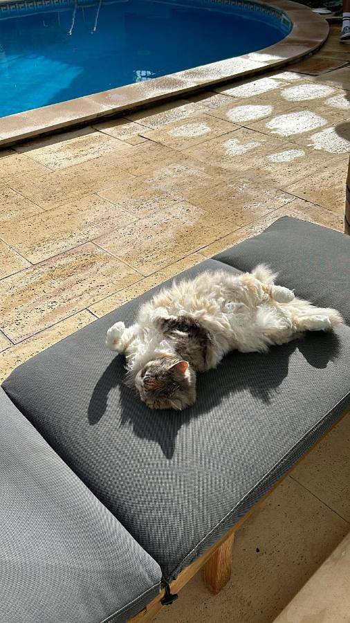 Gîte pour 2 personnes, avec jardin et piscine dans Parede - 2