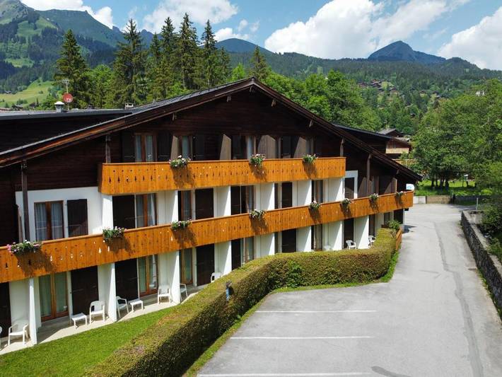 Hôtel pour 3 personnes, avec vue et jardin, animaux acceptés dans Les Diablerets - 4