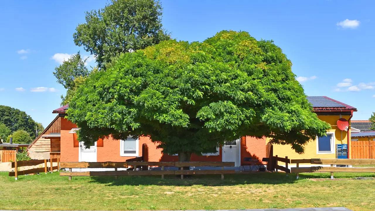Ganze Ferienwohnung, Ferienwohnung für 2 Personen (20 m²) in Mirow in Diemitz, Mirow