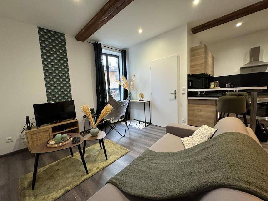 Appartement entier, Studio Apartment in Saint-Germain-au-Mont-d'Or, Lyon et ses environs