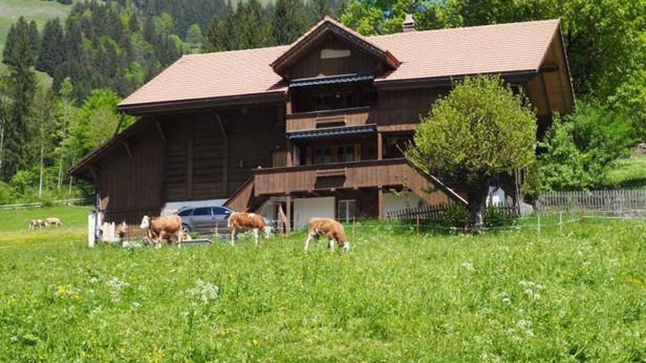 Ganze Ferienwohnung, Ferienwohnung für 2 Personen (60 m²) in Kiental in Reichenbach im Kandertal, Frutigen - Lenk - Adelboden