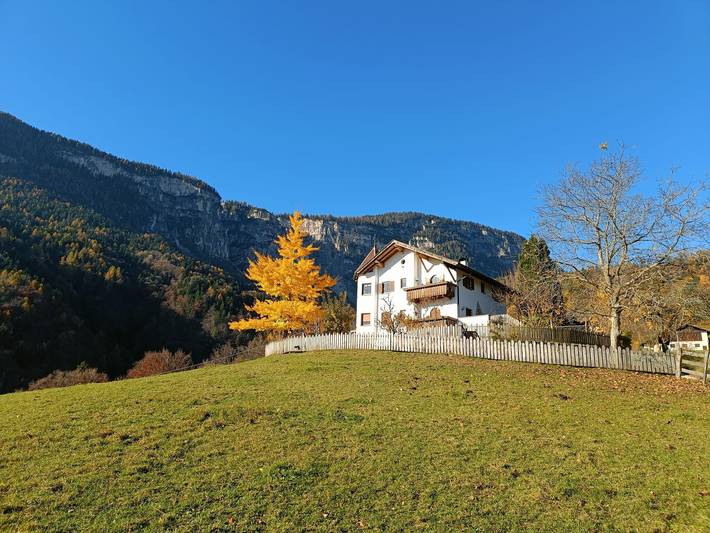 Ferienwohnung für 4 Personen, mit Garten, mit Haustier - 1