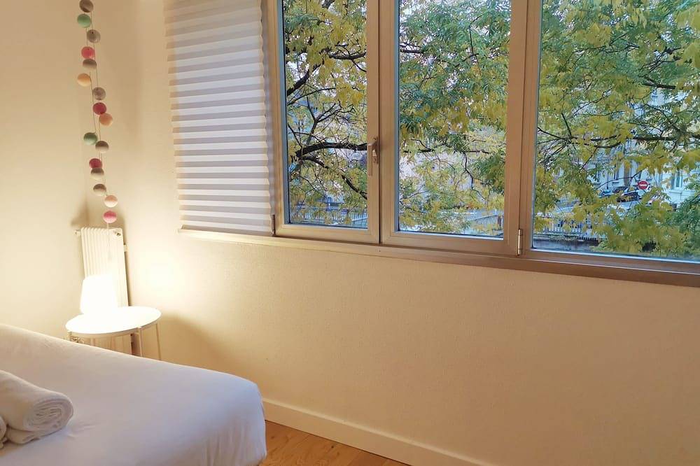 Entire apartment, The tree-lined quays in Belfort, Territoire-de-Belfort