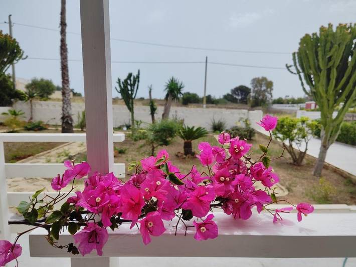 Gîte pour 4 personnes, avec jardin à San Lorenzo - 4