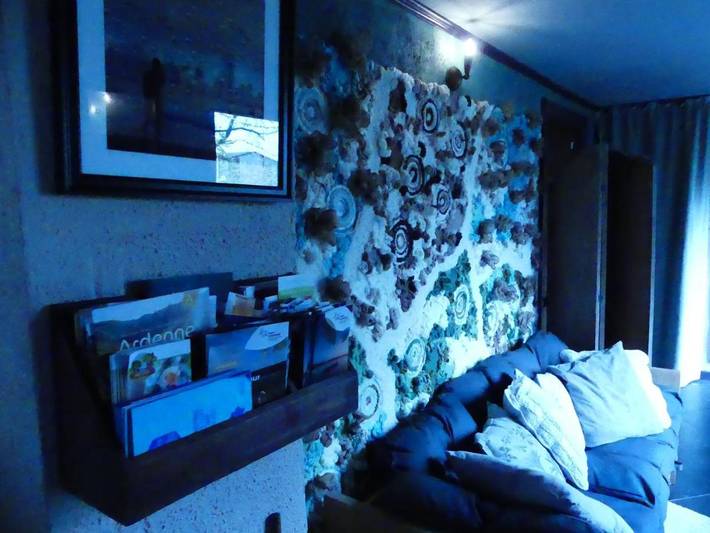 Maison d’hôte pour 2 personnes, avec vue et jardin dans Hainaut - 4