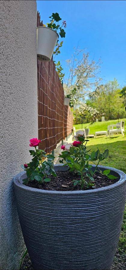 Appartement entier, Appartement lumineux et calme en rez-de-jardin in Castanet-Tolosan, Canal du Midi