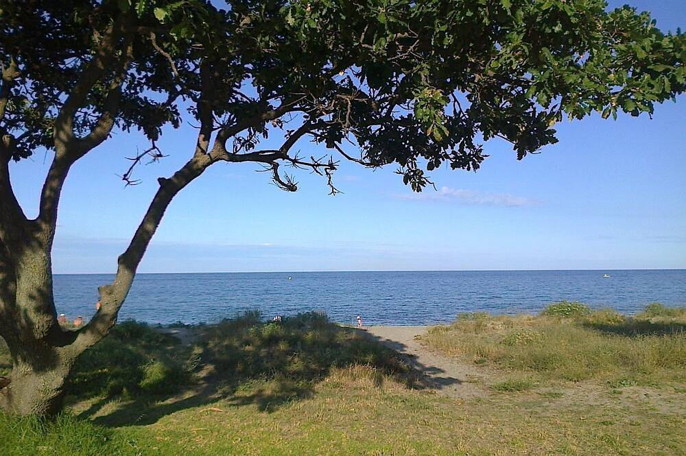 Último Minuto Promo En Junio. Hermosa Villa En Corsica, Junto Al Mar, Playa 100m in Poggio-Mezzana, Región de Corte