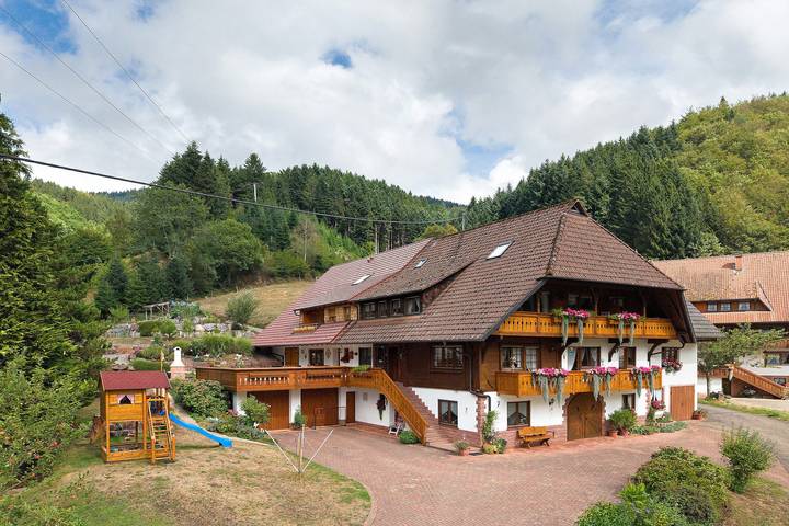 Ferienwohnung für 4 Personen, mit Balkon in Oberharmersbach - 2