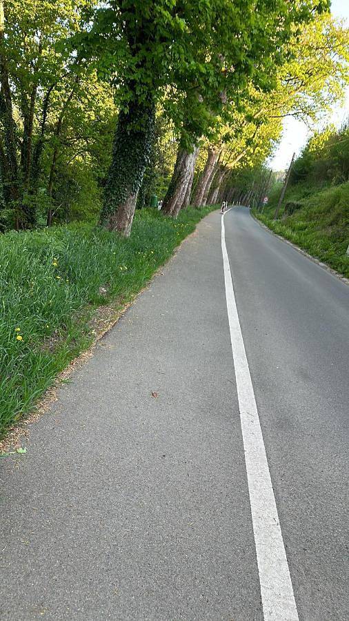 Gîte pour 3 personnes à Limbourg - 3