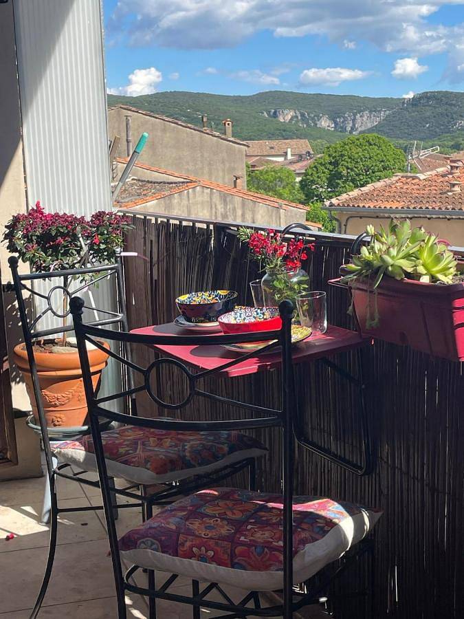 Gîte pour 5 personnes, avec jardin ainsi que vue et terrasse, animaux acceptés à Ganges - 3