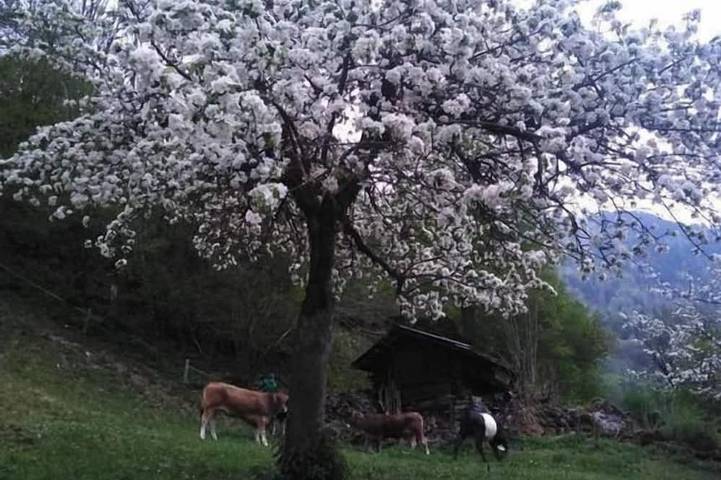 Agriturismo para 10 personas, con jardín - 1