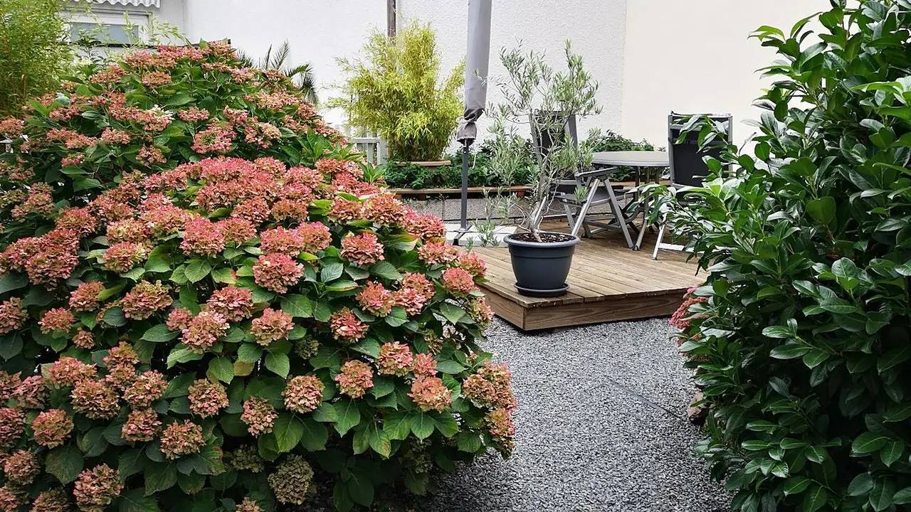 Ferienhaus für 3 Personen (60 m²) in Zeltingen-Rachtig in Zeltingen-Rachtig, Bernkastel-Kues & Umgebung